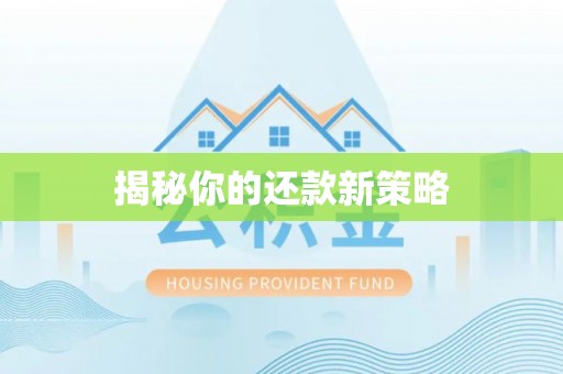 枣强揭秘你的还款新策略