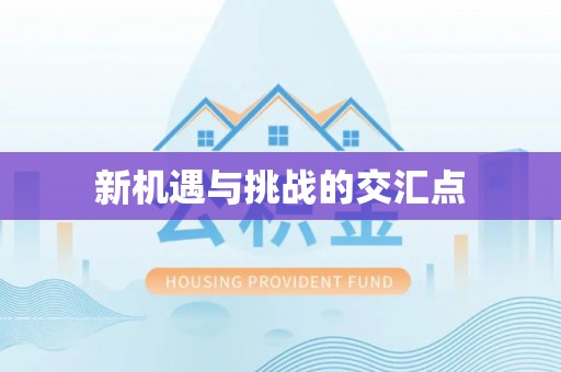 枣强新机遇与挑战的交汇点