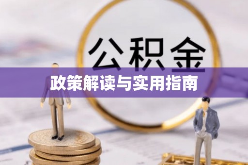 枣强政策解读与实用指南