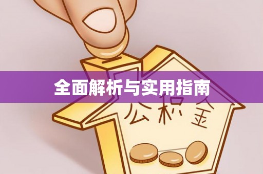 枣强全面解析与实用指南