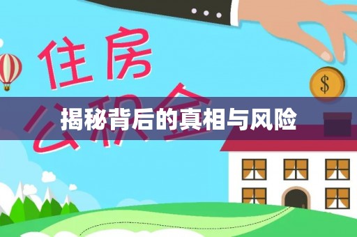 枣强揭秘背后的真相与风险