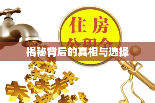 枣强揭秘背后的真相与选择