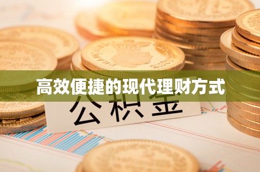 枣强高效便捷的现代理财方式