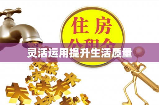 枣强灵活运用提升生活质量