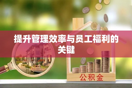 枣强提升管理效率与员工福利的关键