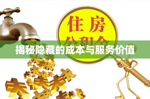 枣强揭秘隐藏的成本与服务价值
