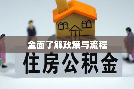 枣强全面了解政策与流程