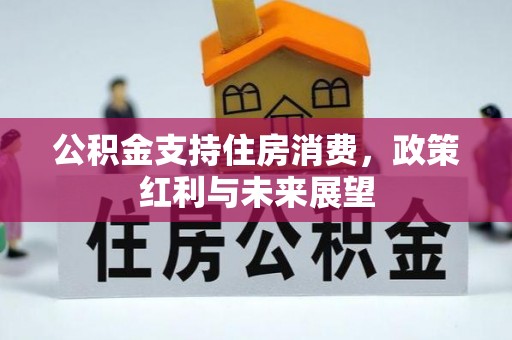 枣强公积金支持住房消费，政策红利与未来展望