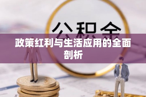 枣强政策红利与生活应用的全面剖析
