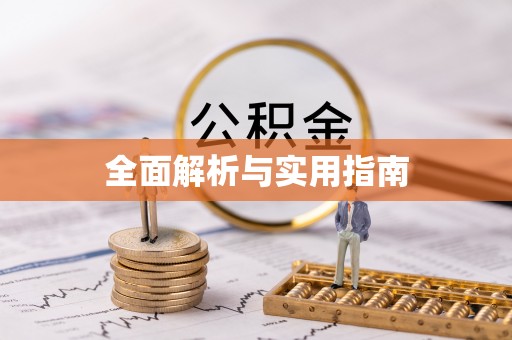 枣强全面解析与实用指南